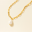Hanalei Pearl Coin Paperclip Necklace (Bundle)