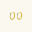 Alexandria Huggie Hoops
