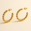 Pastry Hoop Earrings (Bundle)