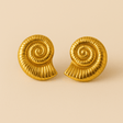 Chunky Shell Earrings (Bundle)