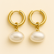 Petalstone Earrings (Bundle)