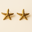 Starfish Earrings (Bundle)