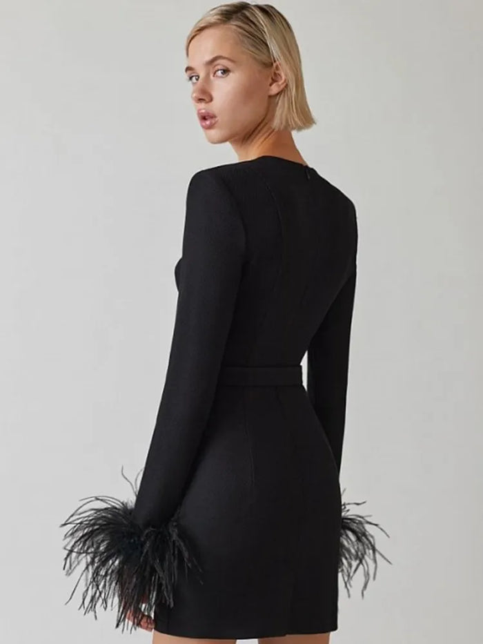 Faelina Feather-Trim Mini Dress